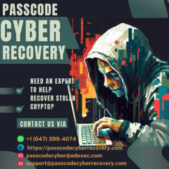Phishing attacks & fake exchange websites // Passcode Cyber Recovery