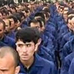 First Track From a Fuckhead