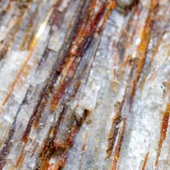 No IV live in Kassel 121222024