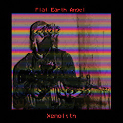 Xenolith