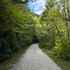 002 Lonesome Traveler .m4a