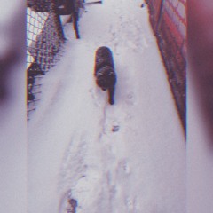 Клавдія Петрівна — Невже