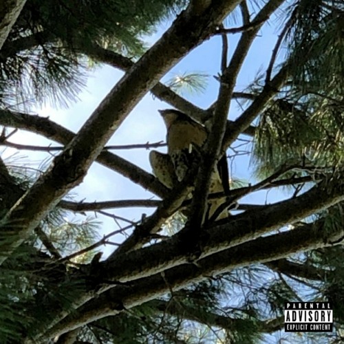 something w/ lovesickxo (prod. me, ridgely2k, & lovesickxo)
