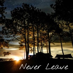 Never Leave
