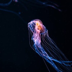 Rolling In The Deep (Remix)