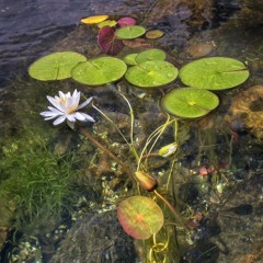 Gucci Mane - Pressed for Time (earthFLIP)