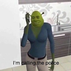 fuck it, i'm calling the police