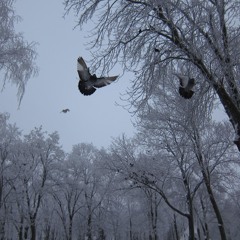 11111111111111111111111