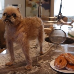 AXEL THESLEFF - BAD KARMA (lucaf. REMIX) (BASS NATION)