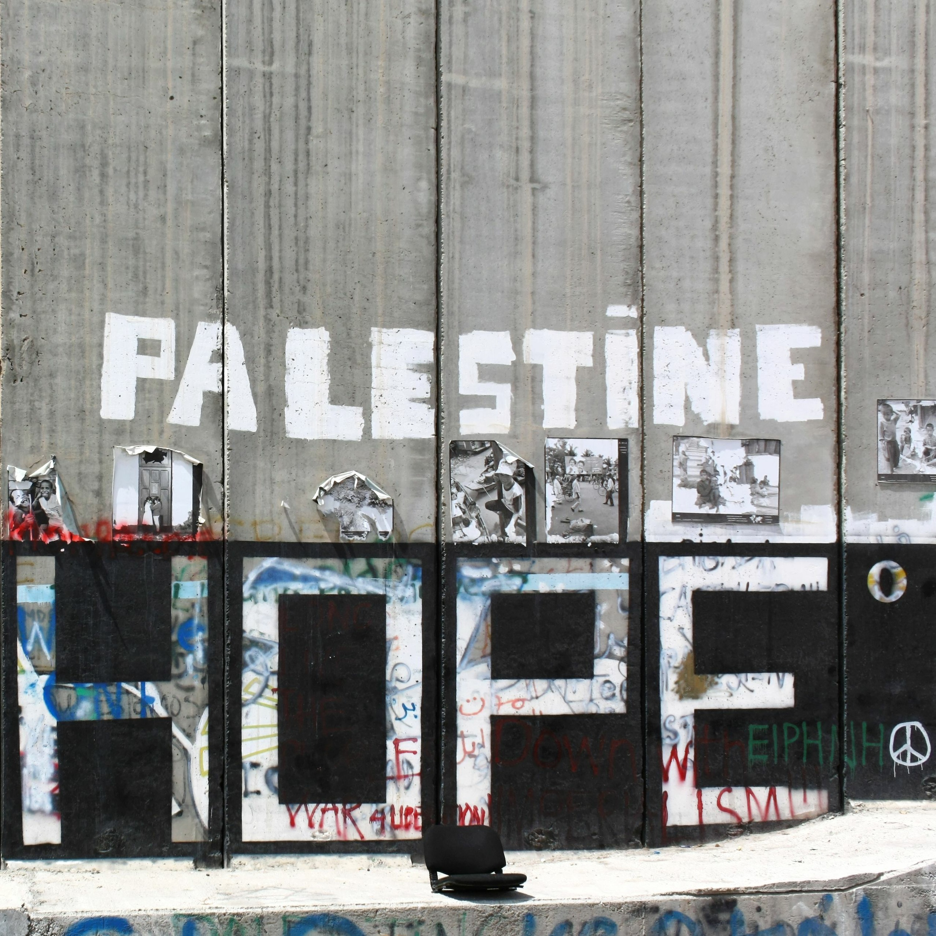 Diana Buttu on Palestinian Struggle and The Case for The One-State Solution episode artwork