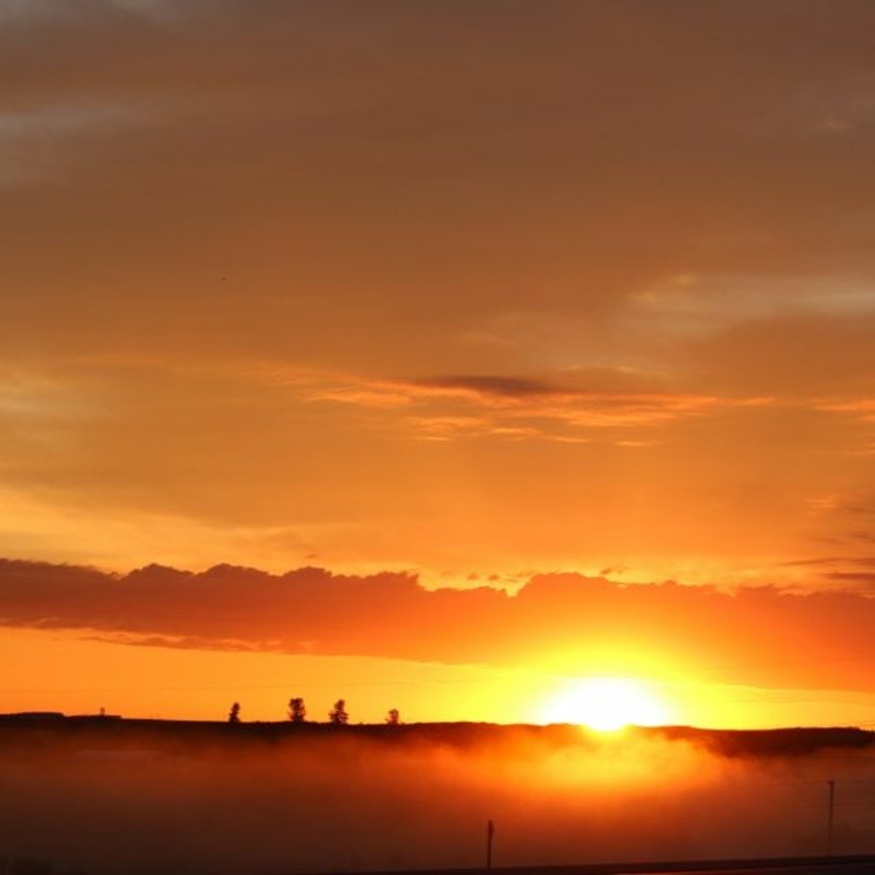 Reverb Studios Sounds Feed