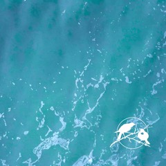 Ripples And Waves
