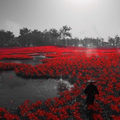 Man on the moon prodDwill3kill