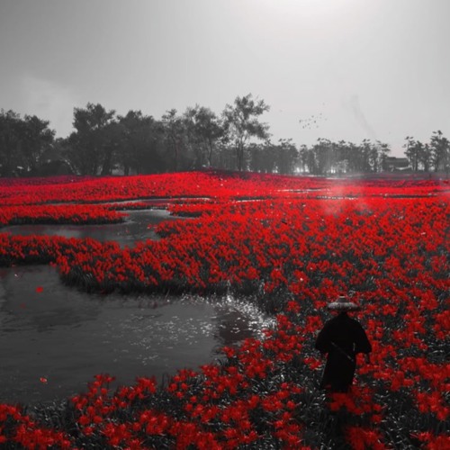 Man on the moon prodDwill3kill