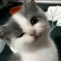 Yêu Không Cần Hứa - Loub Remix