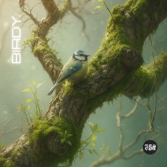 Birdy(Free Download)