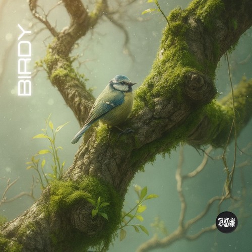 Birdy(Free Download)