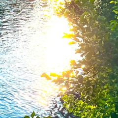 Awake, rise, and shine unconditionally—your time has come (Homage to Isaiah 60:1) / Bow1 Mix