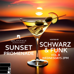 Schwarz & Funk - Sunset Promenade vol. 8
