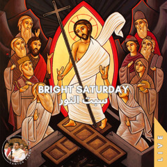 Liturgy Gospel in Arabic ♱ Bright Saturday (Live) إنجيل القداس بالعربي  ♱ سبت النور