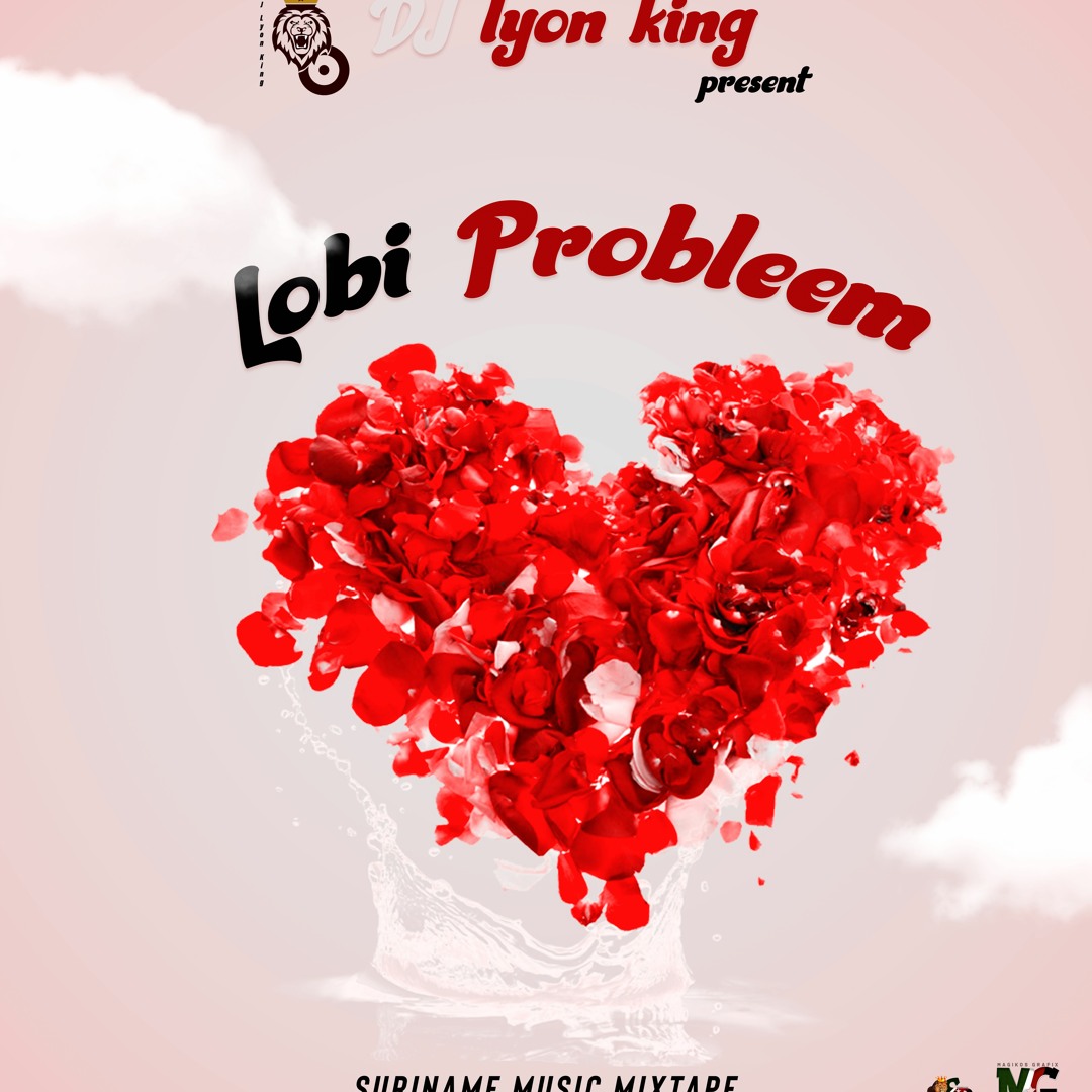 Pochette de Lobi Probleem