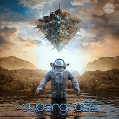 Cybergrass - Interstellar Flight (OUT NOW!)