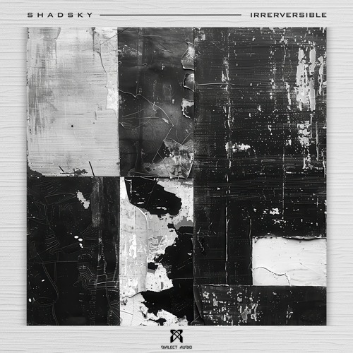 Shadsky - Irreversible [Premiere]