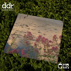 ÓIR | DDR 05.11.23
