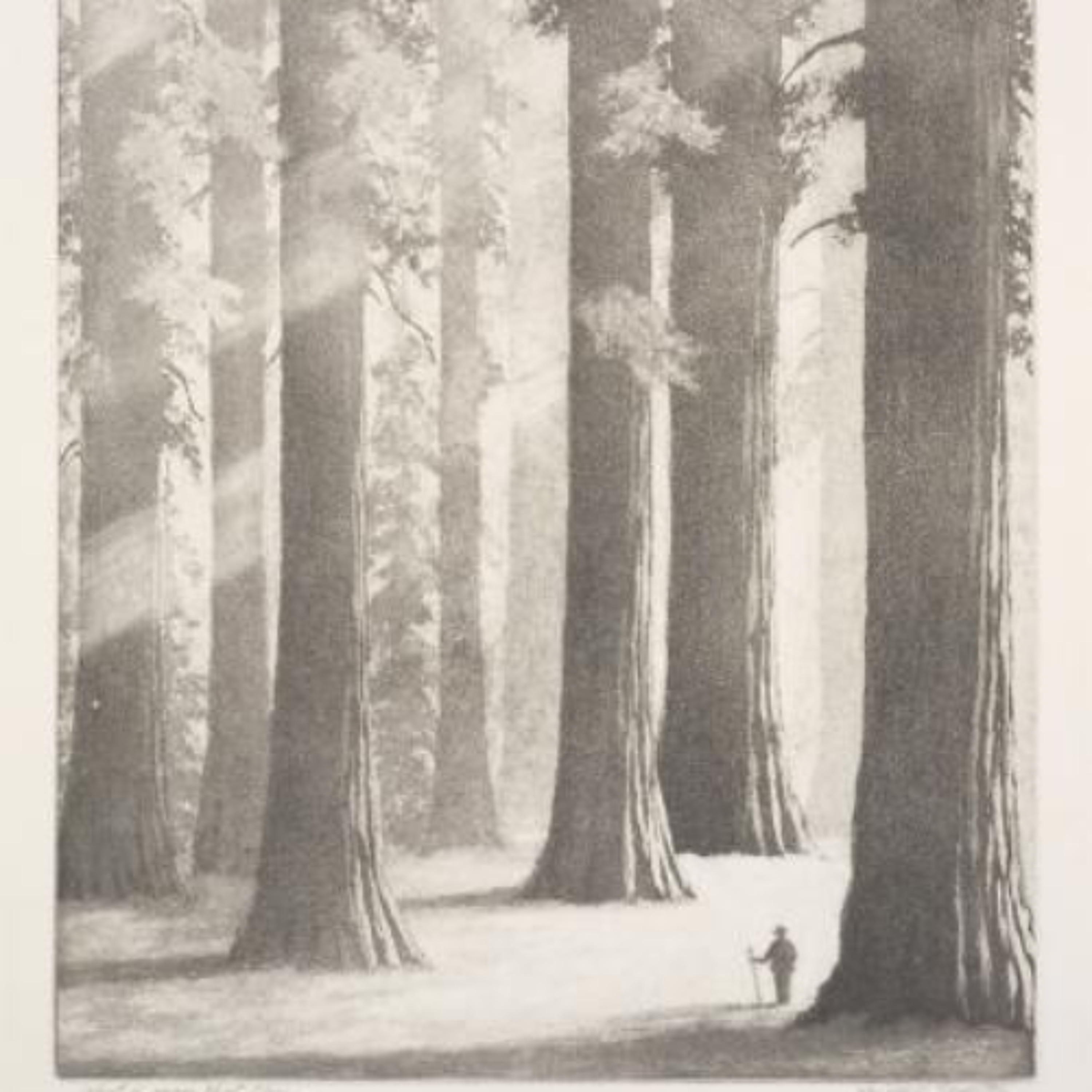 2/1/26 In the Image of God, Part 2 (Genesis 1:26-31)