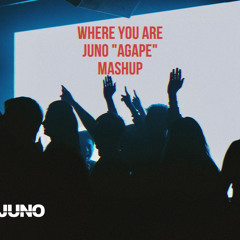 John Summit x Vintage Culture - Where You Are (JUNO "Agape" Mashup)