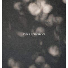 The Pines Remember —Pandawickd feat Clara