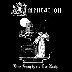 Eine Symphonie Der Nacht