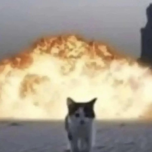 yabujin/elfaction n stuff