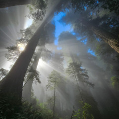 @whyxaiyo - vampire (2023 Scraps)