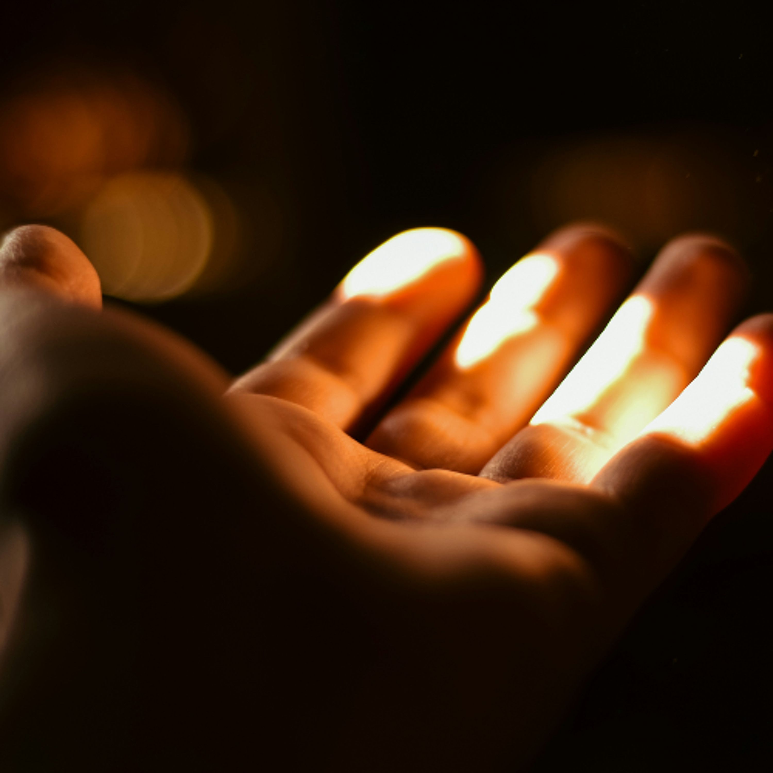 Meditación: Acoger el perdón, vivir la misericordia