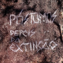 Depois Da Extinção