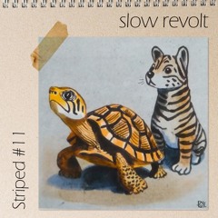 Striped #11 - slow revolt