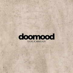 Doomood-In my house (Ollie J Synthwave mix)