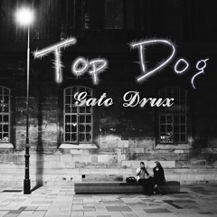 Top Dog w/ Drux (silver + 1gaard)