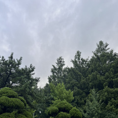 신의 뜻대로(神のまにまに ) COVER [유준호 노래 커버].m4a