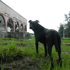 telapón
