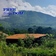 freədom