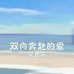 双向奔赴的爱 (伴奏版)