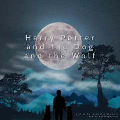 [Podfic] Harry Potter and the Dog and the Wolf
