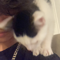 sleep thru ur alarms (lontalius)