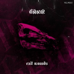 PREMIERE: VISHSCALE - HELL CAN NOT TAKE ME (BRAIS Remix)[NGLM003]