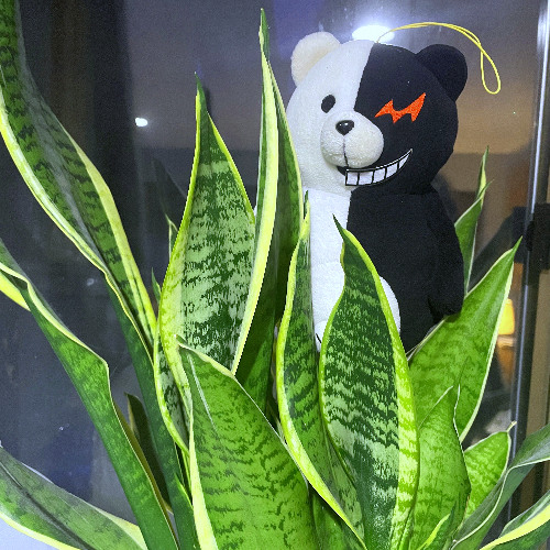 you better not switch up on me!