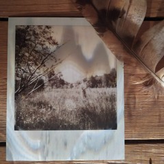 Walk in the light - HIGH DRIFTER