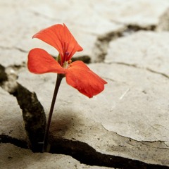 Pop Music Never Been On Radio - Best Songs 2020