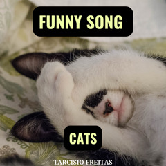 Funny Song (Cats) 3